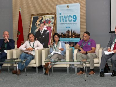 What is MICE Tourism