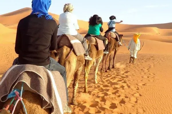 Family Holidays